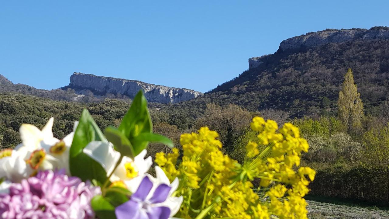Un Petit Coin De Paradis Le Pegue Luaran gambar